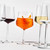 Essence Cocktail Glass 21oz, Set of 2