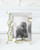 Butterfly Ginkgo Gold 5 x 7 Frame