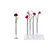 Magnetic Vase (5 aluminum vases)