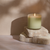 Wild Honeysuckle Signature Candle