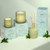 Wild Honeysuckle Reed Diffuser Classic