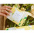 Mini Petite Presentation Box 5ct Draper James Hydrangea 3C