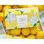 Presentation Box Draper James Hydrangea 3C