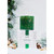 Woodland Spruce Candle