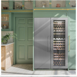 Caple SSDOOR177 stainless steel door installed on a Caple fridge in a pastel green sunlit kitchen