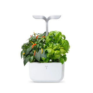 Veritable 239-VEXK-SAWAS-UK-50 Exky Smart Indoor Garden - Arctic White Product Image