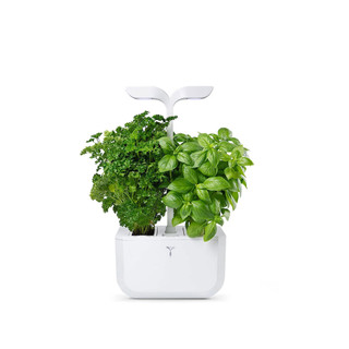 Veritable 239-VEXK-CAWAW-UK-49 Exky Classic Indoor Garden - White Product Image