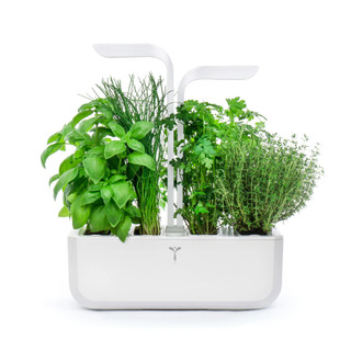 Veritable 239-VPOT-CAWAW-UK-6 Classic Indoor Garden - White Product Image