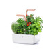 Veritable 239-VPOT-SAWCO-EU-212 Smart Indoor Garden - White Copper Product Image