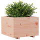 vidaXL 70x70x49.5 cm Solid Douglas Wood Garden Planter 