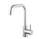 Reginox SALINACH Single Lever U-Spout Kitchen Tap - Chrome Product Image