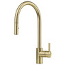 Franke EOS NEO Pull Out spray tap in Gold