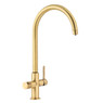 Abode PT1133 Pronteau Prothia 3 in 1 Monobloc Swan Kitchen Tap - Brushed Brass Main Image