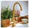 Abode Pronteau ProTrad 4 in 1 Monobloc Kitchen Tap installed in a wooden kitchen with plants