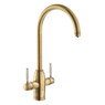 Abode PT1019-2 Pronteau Province 4 in 1 Monobloc Kitchen Tap - Antique Brass Main Image