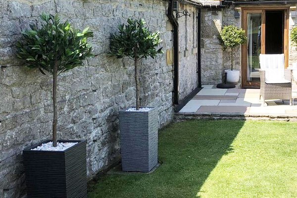 Artificial Bay Laurel Tree By Leaf Artificial Topiary Bay Laurel Tree