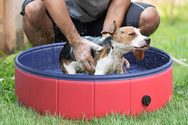PawHut Dog Pool PawHut Dog Pool
