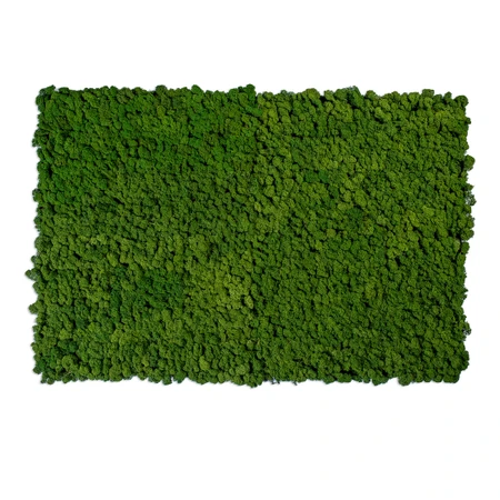 The evergreen moss acoustic wall panels can introduce a sound isolating vertical garden to any interior. logo
