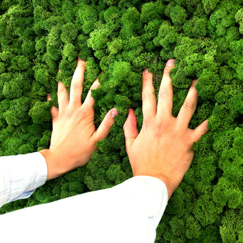 Moosgreen Flexible (straight), colour: moss green.