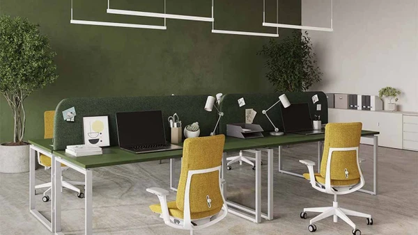 Do Acoustic Desk Dividers Actually Reduce Noise?
