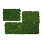 Evergreen Acoustic Moss Wall Panels