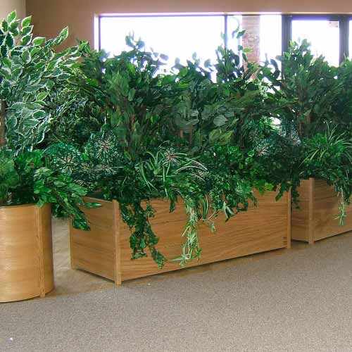 Standard planter boxes logo