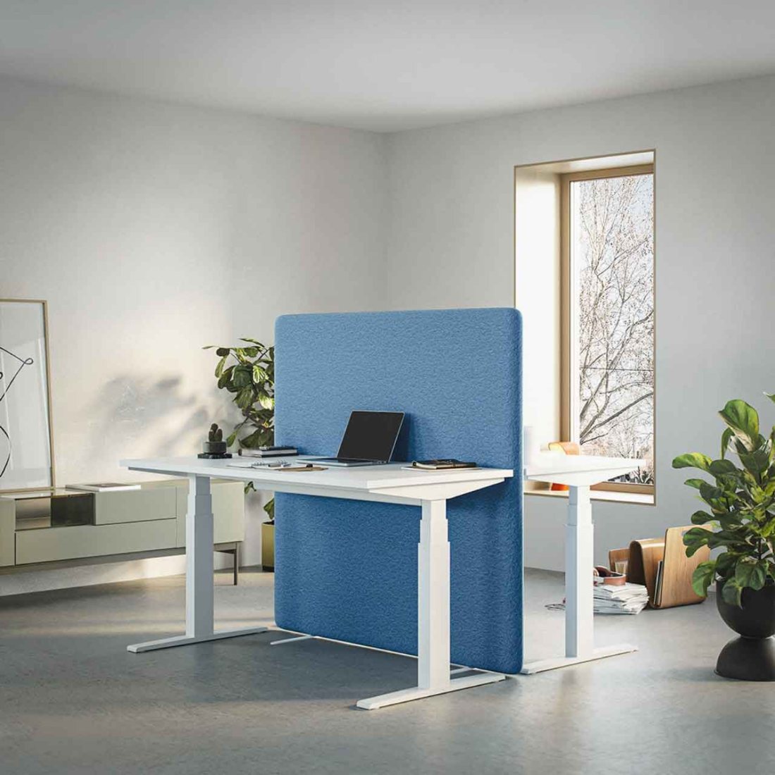 Blue acoustic screen creating a private workstation