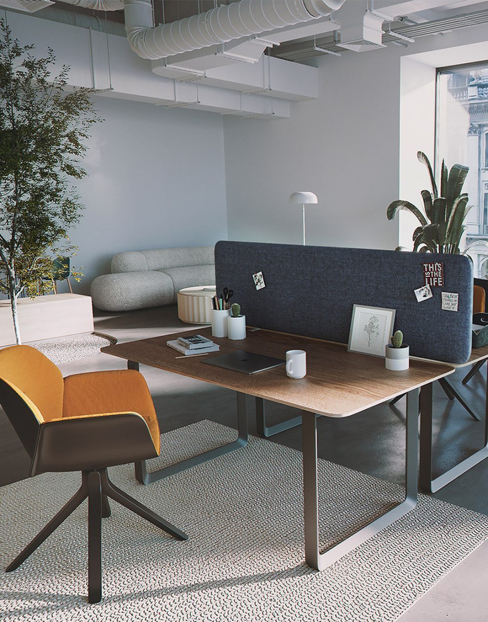 Muffle acoustic desk screen on a shared office desk