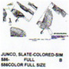 Slate Colored Junco Perching/Flying/Landing
