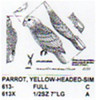 Yellow Headed Parrot Perching