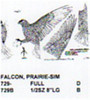 Prairie Falcon Flying/Landing