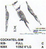 Cockatiel Perching