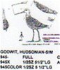 Hudsonian Godwit Standing 1/2 Size