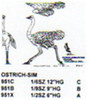 Ostrich Standing 1/12 size