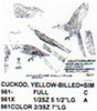Yellow Billed Cuckoo Perching/Flying/Landing