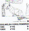 Pembroke Welsh Corgi Setting Down 6" High