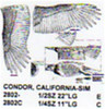 Carving Pattern of a 1/4 size California Condor