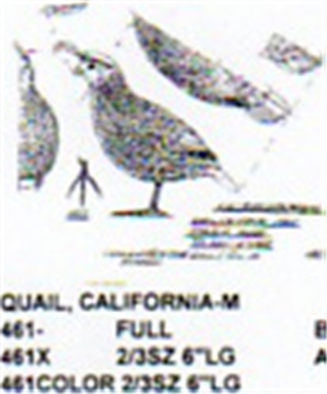 California Quail Male Standing Carving Pattern showing the male Quail in a standing alert position.