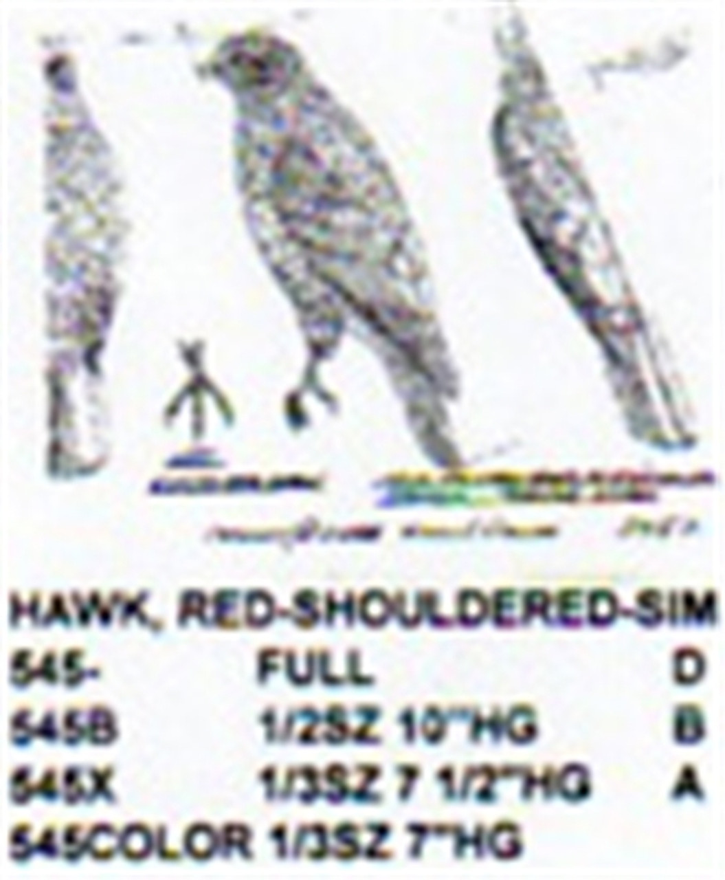 Red Shouldered Hawk Perching Carving Pattern showing the top, side, and front profile of the perching hawk.
