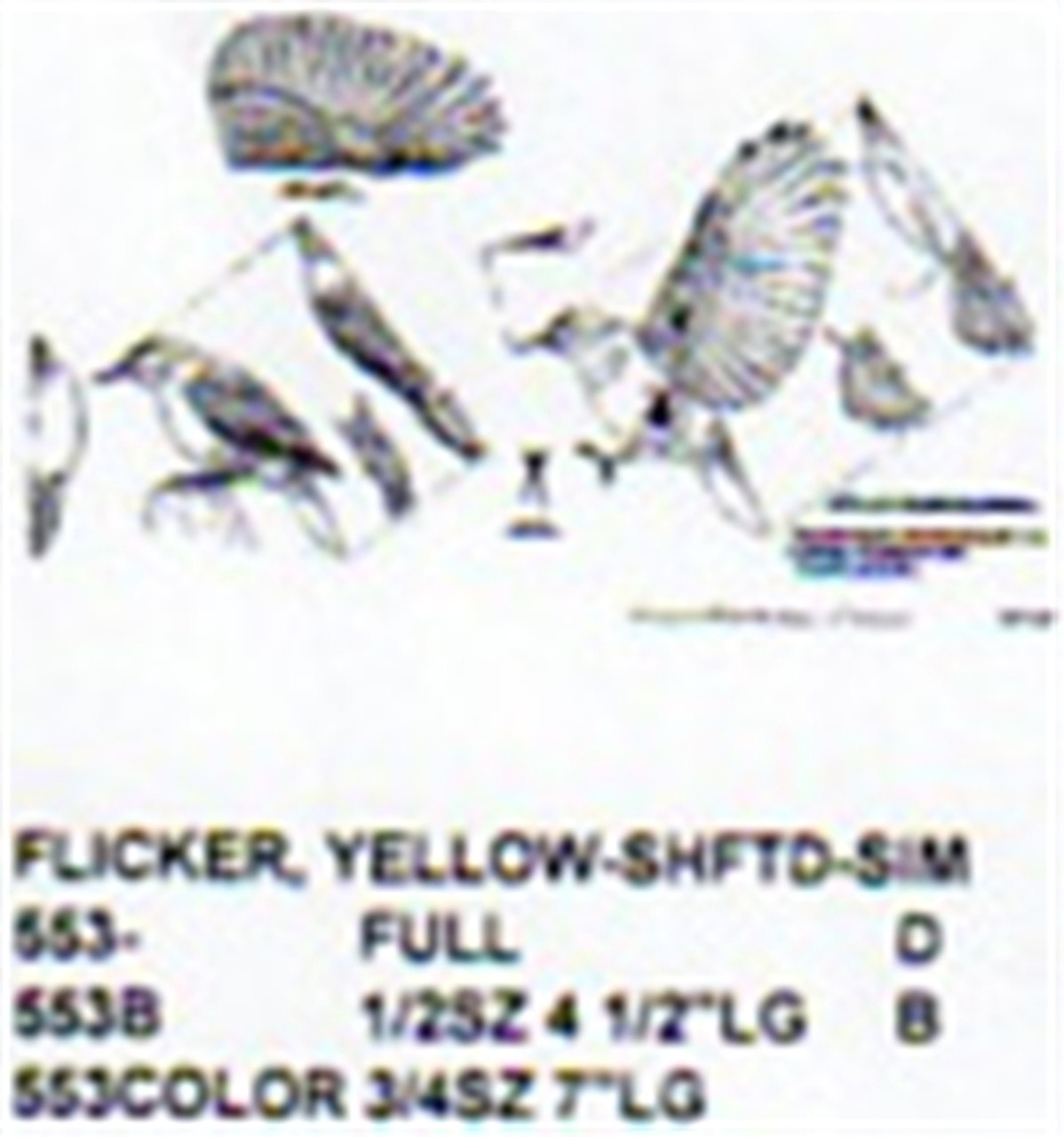 Yellow Shafted Flicker 3/4 Size