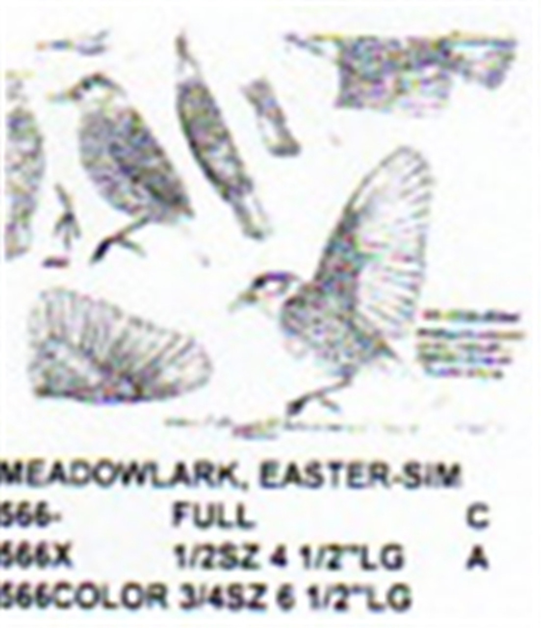Eastern Meadowlark Perching-Flying-Landing