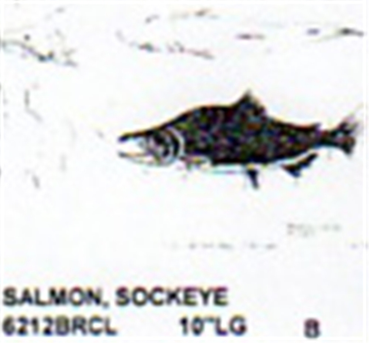 Sockeye Salmon Mouth Closed 10" Long Color