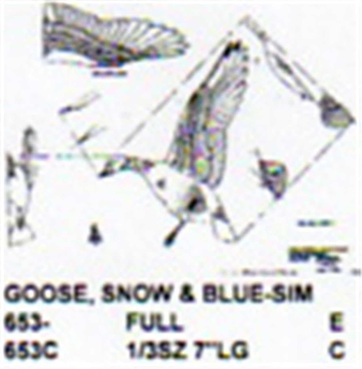 Snow Goose Blue Flying/Landing