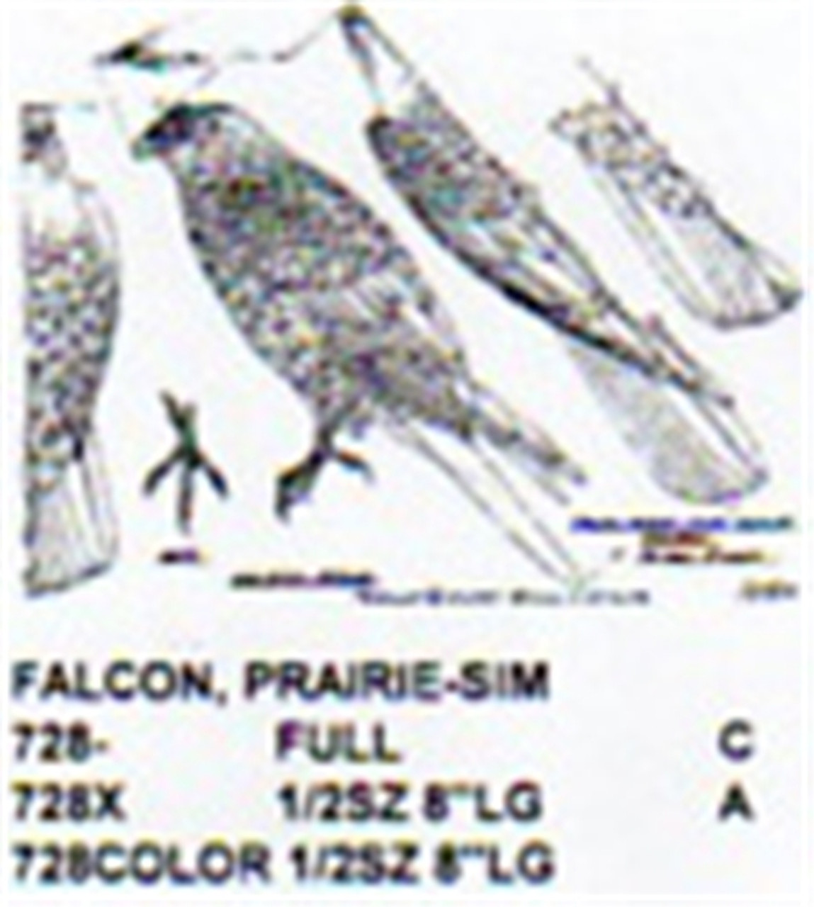 Prairie Falcon Perching 1/2 Size