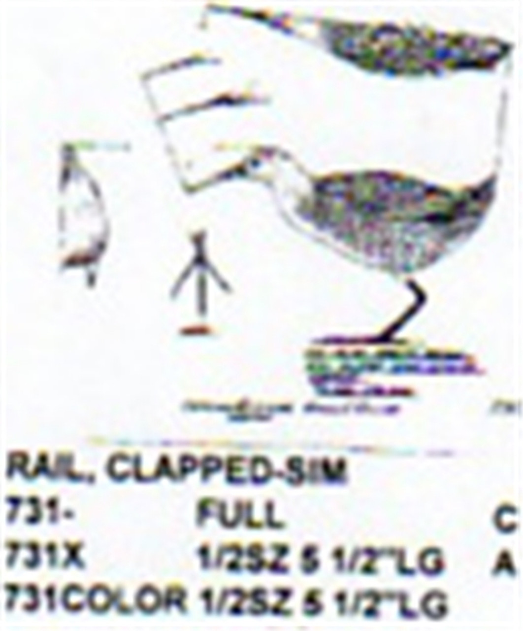 Clapper Rail Standing 1/2 size