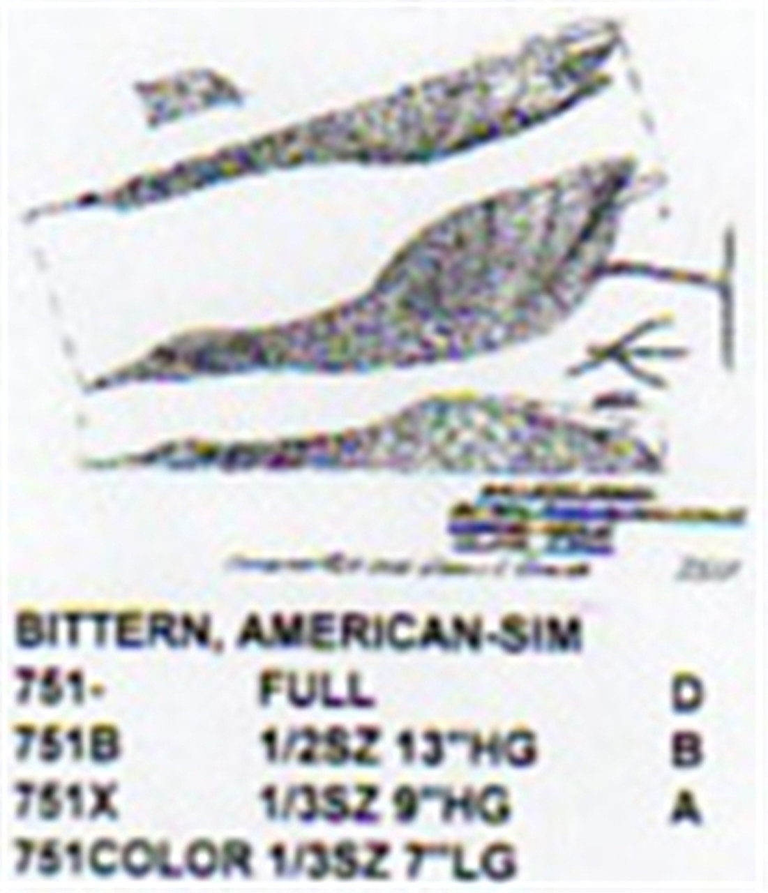 American Bittern Standing-Head Up 1/3 Size
