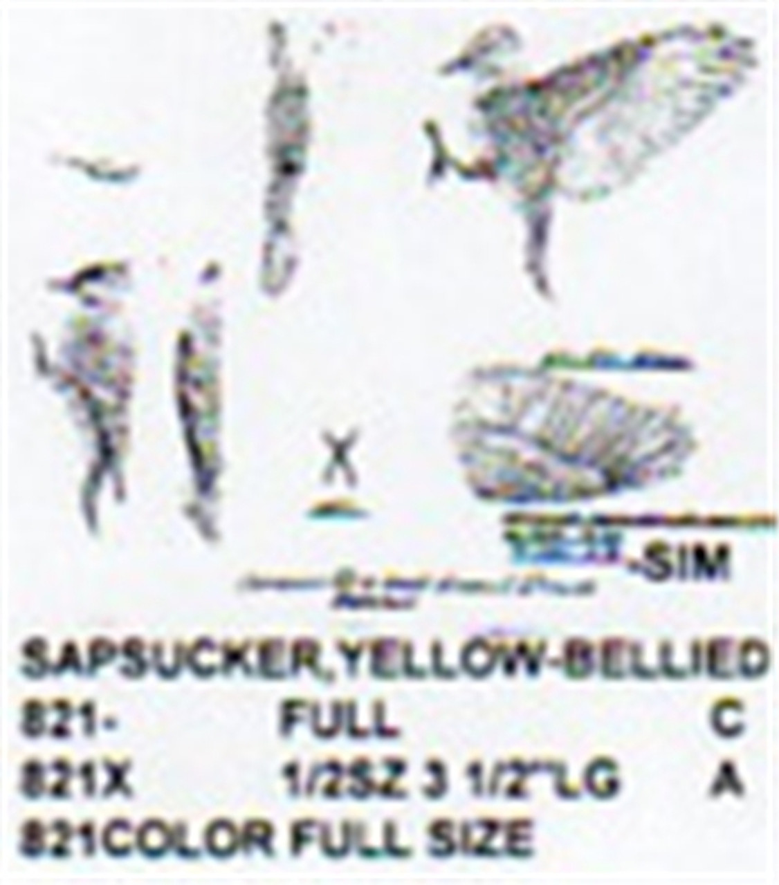 Yellow Bellied Sapsucker On Tree/Flying/landing