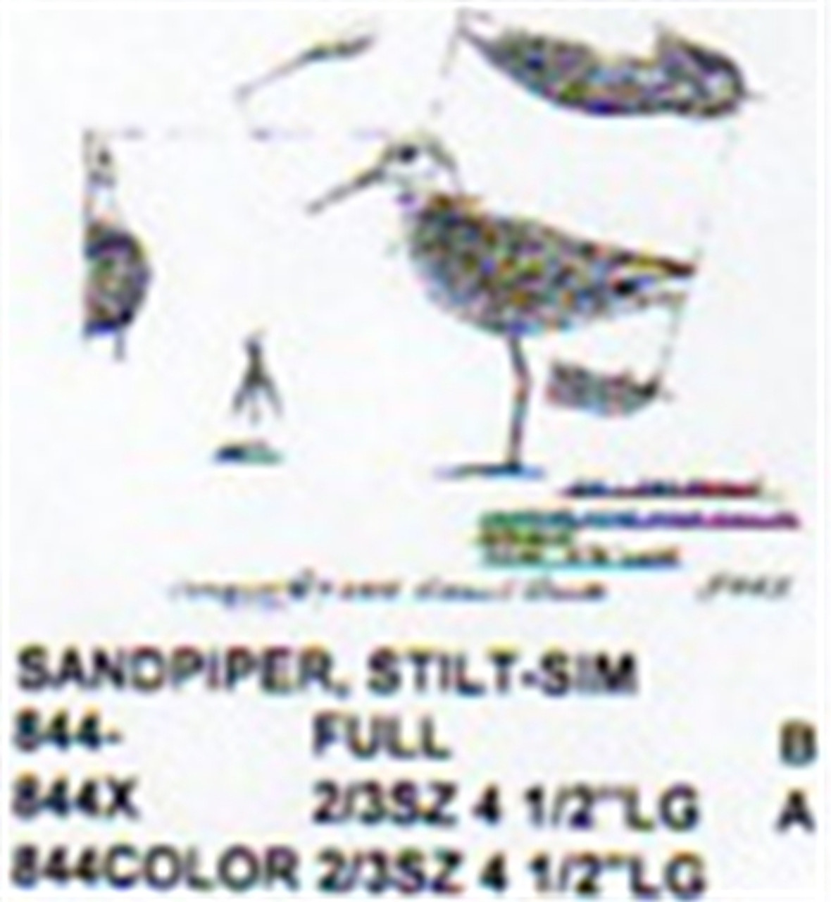 Stilt Sandpiper Standing 2/3 Size
