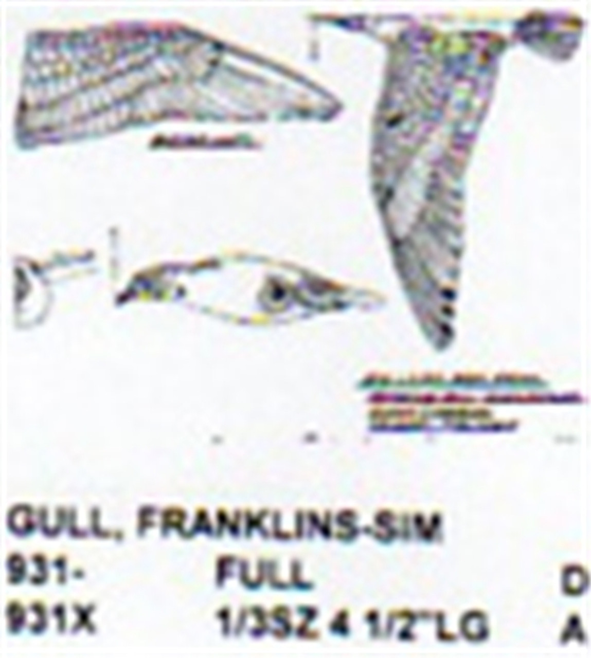 Franklin's Gull Flying-Soaring 1/3 Size