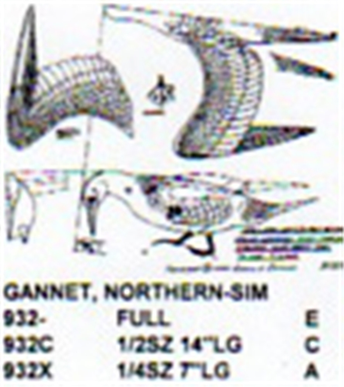 Northern Gannet Standing-Wings Open 1/2 Size